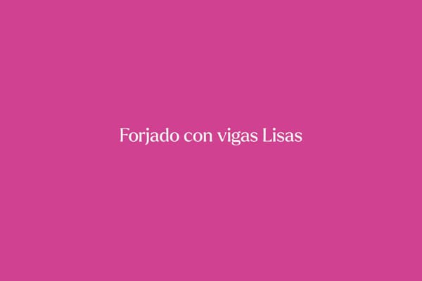 Forjado con vigas Lisas proyecto